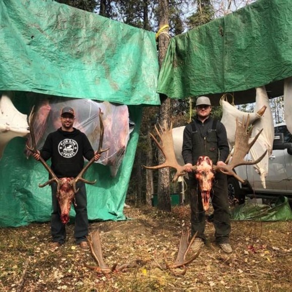 Meet your Posher, Cole - Picture 1 of 1